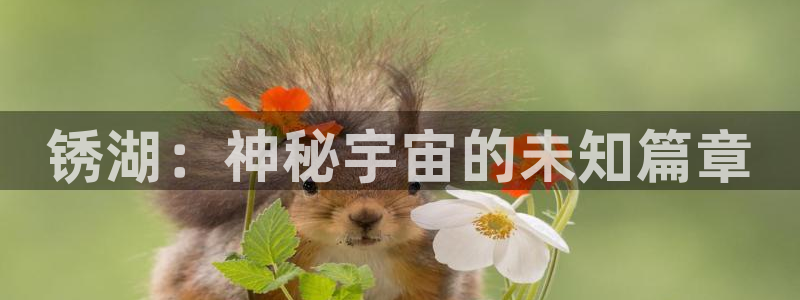 亿万28官网注册方法有哪些呢：锈湖：神秘宇宙的未知篇章
