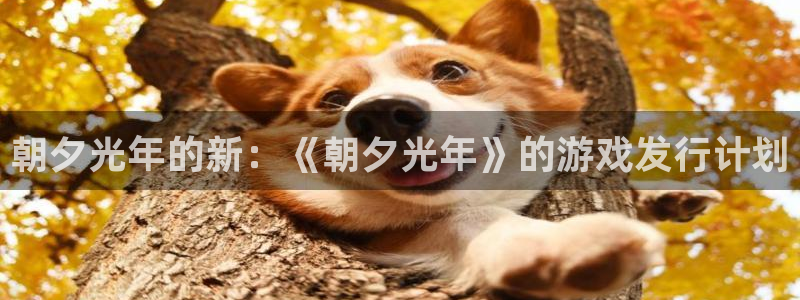亿万28官网平台合法吗：朝夕光年的新：《朝夕光年》的游戏发行计划