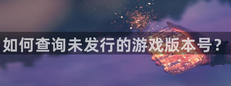 亿万28子酒业：如何查询未发行的游戏版本号？