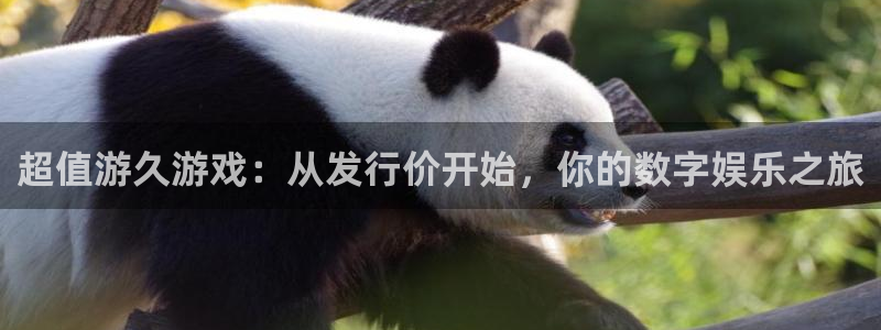 亿万28官网代理开号怎么开：超值游久游戏：从发行价开始，你的数字娱乐之旅