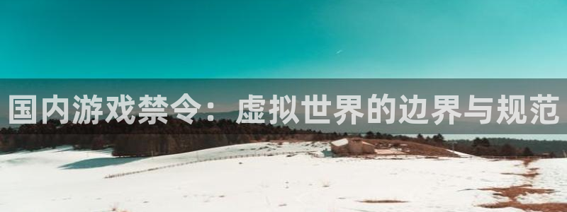 陕西亿万28子文化公司加我qq：国内游戏禁令：虚拟世界的边界与规范