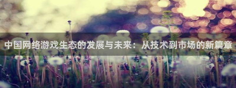 亿万28官网登录注册账号失败怎么回事：中国网络游戏生态的发展与未来：从技术到市场的新篇章