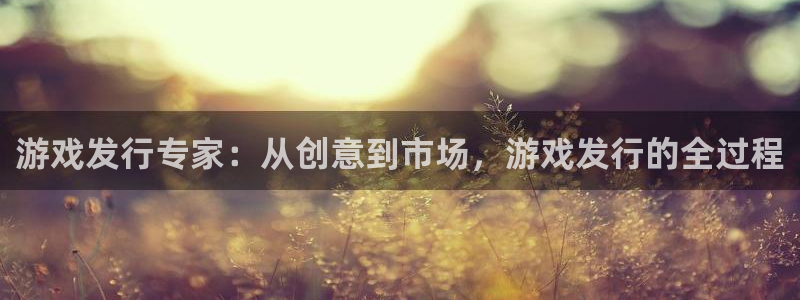 亿万28超纯啤酒怎么样：游戏发行专家：从创意到市场，游戏发行的全过程