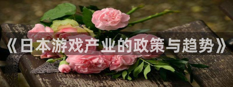 亿万28官网登录注册：《日本游戏产业的政策与趋势》