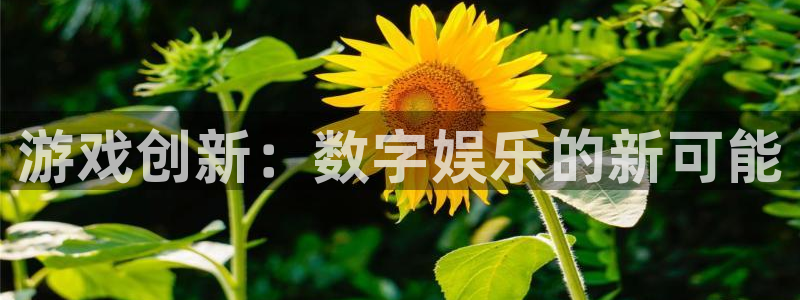 亿万28品牌策划团队介绍