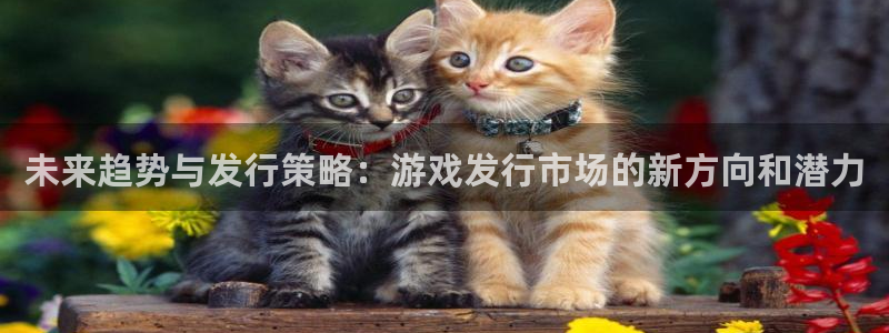 亿万28电商怎么样知乎