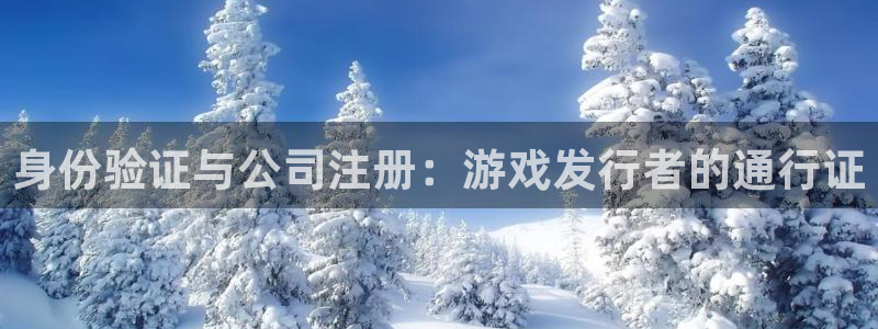 亿万28官网客服服务怎么样：身份验证与公司注册：游戏发行者的通行证