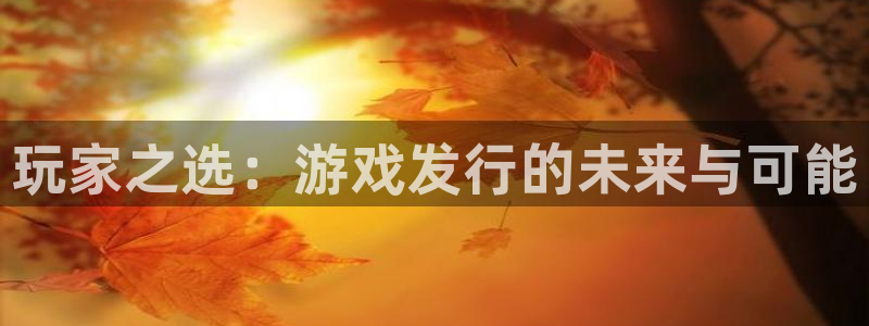 亿万28科技有限公司：玩家之选：游戏发行的未来与可能