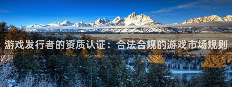 亿万28官网代理注册不了：游戏发行者的资质认证：合法合规的游戏市场规则