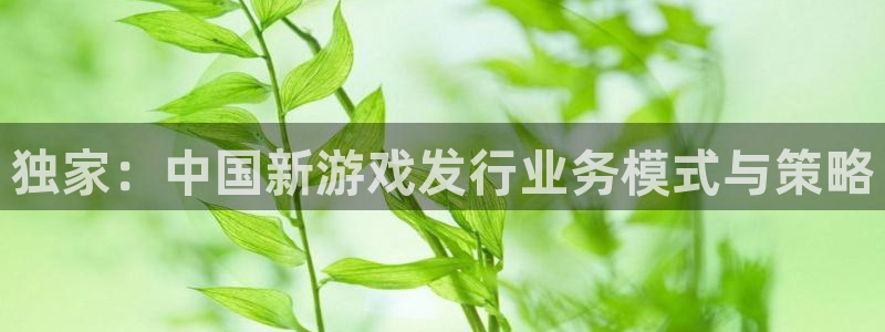 亿万28品牌策划公司